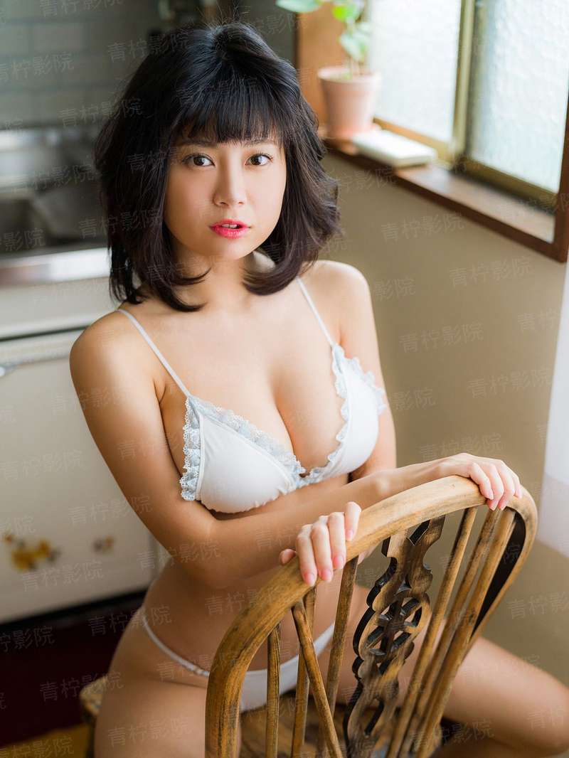 文豪野犬第二季