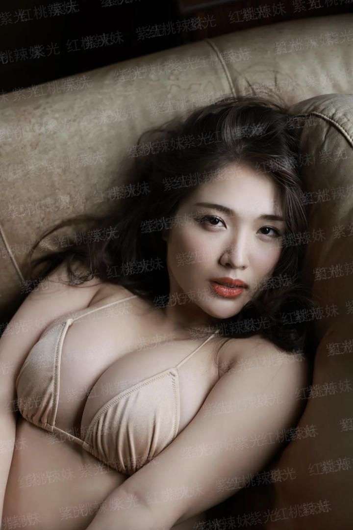 家族纽带第一季