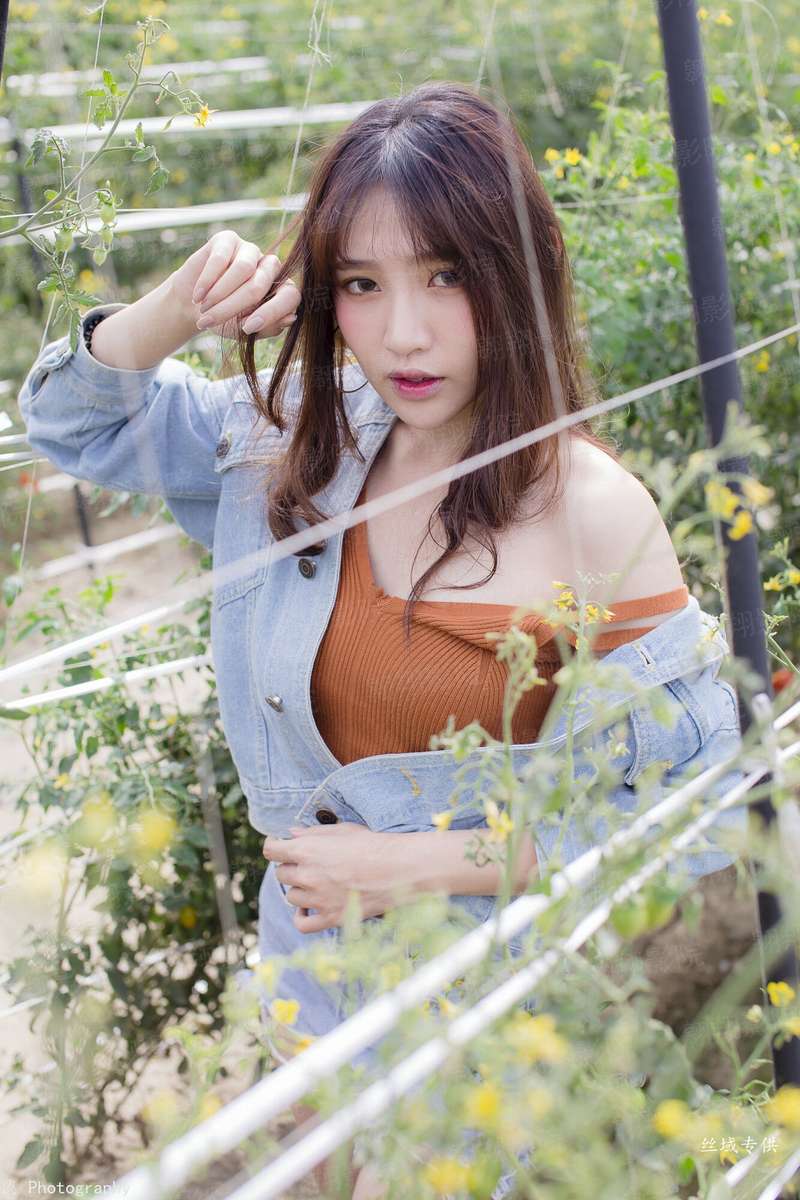 五界醉仙