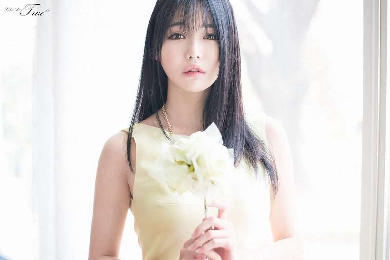 守望先锋之完美人生