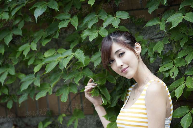 女王的超级高手