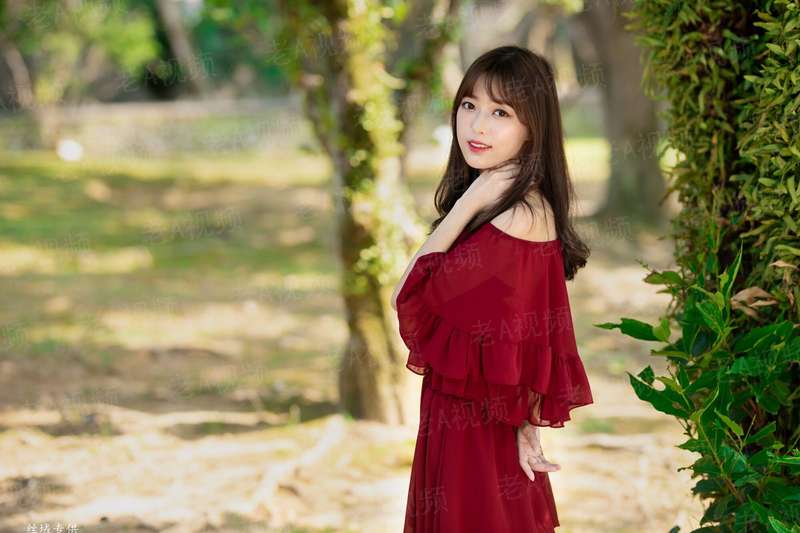 DMD 友谊现实