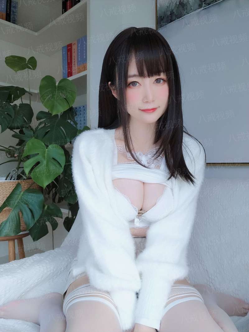 梦回雍正王朝