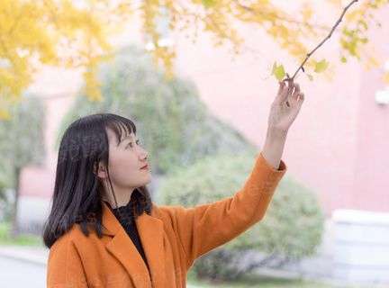 无羁之幻灵