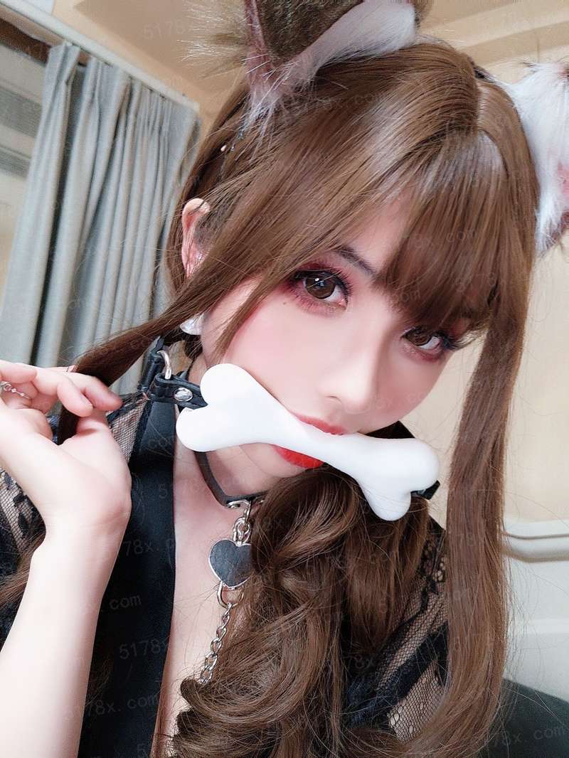 木槿花之夏