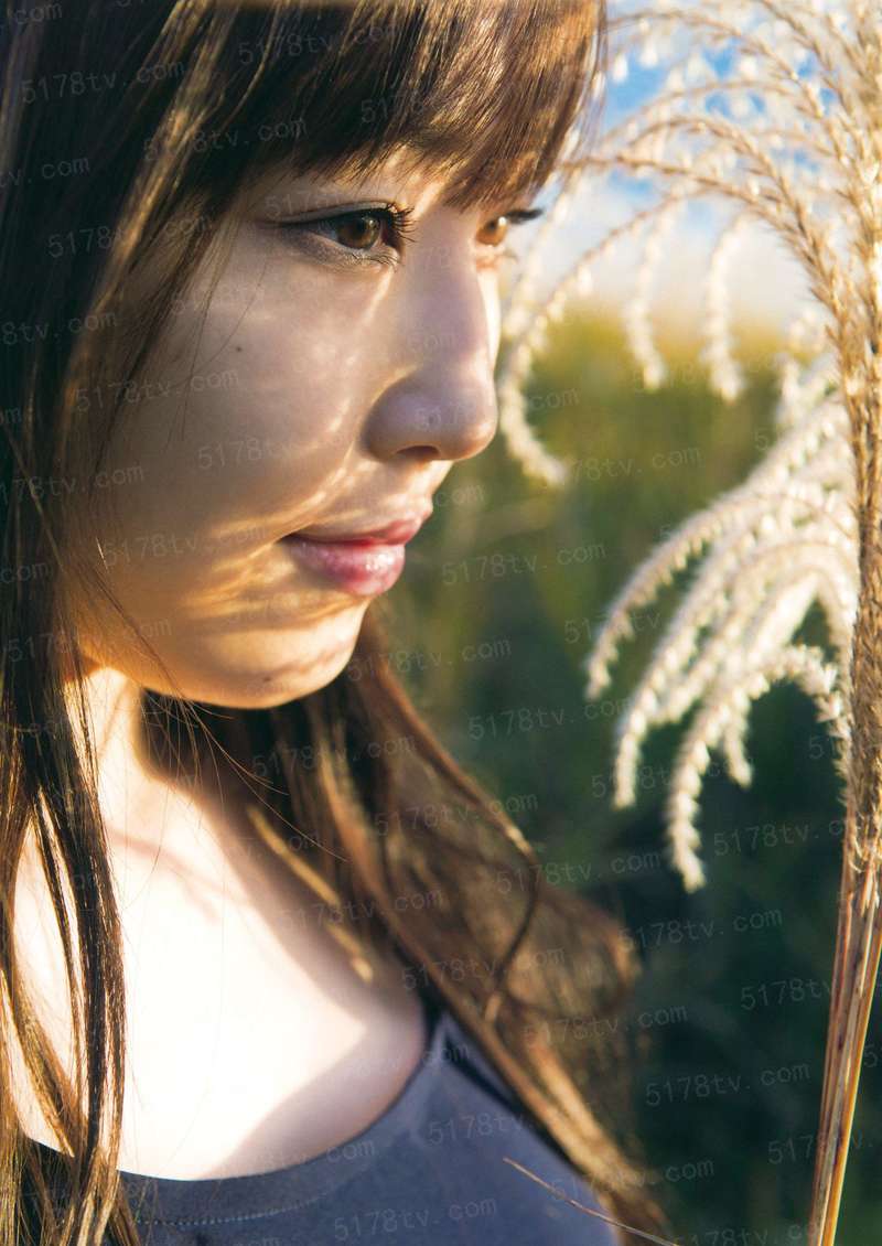 海贼之念念果实