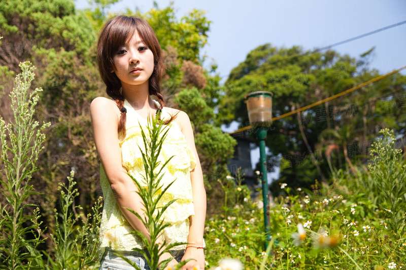 非君莫舞