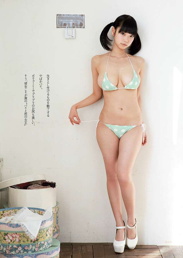 穿越之导演变成松狮犬