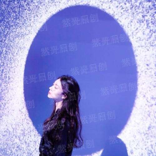 和白富美一起荒岛求生