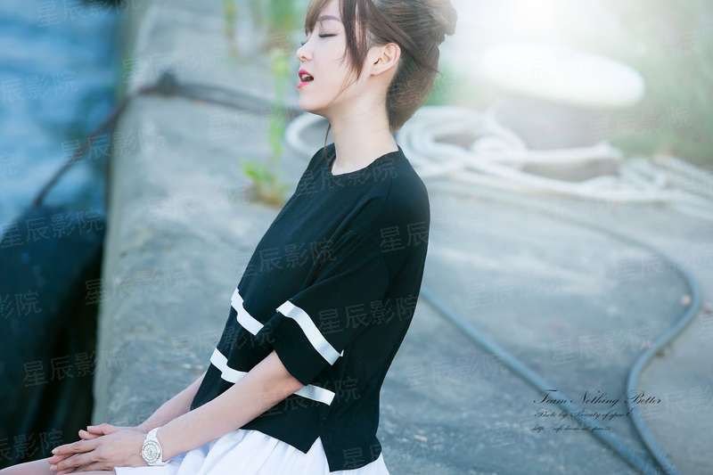 飞机总动员2013