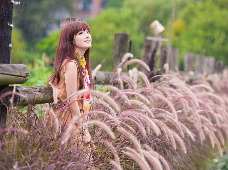 咬定神医不放松