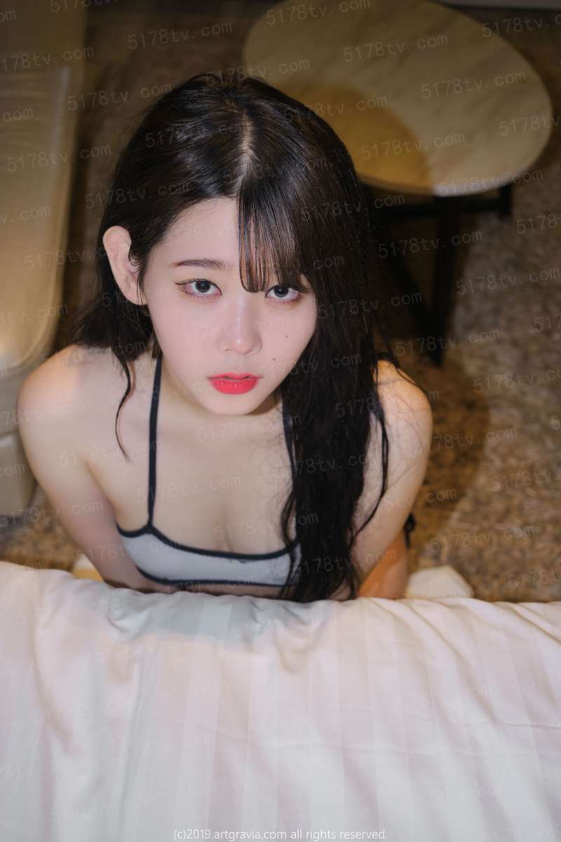 蚁虫族进化记
