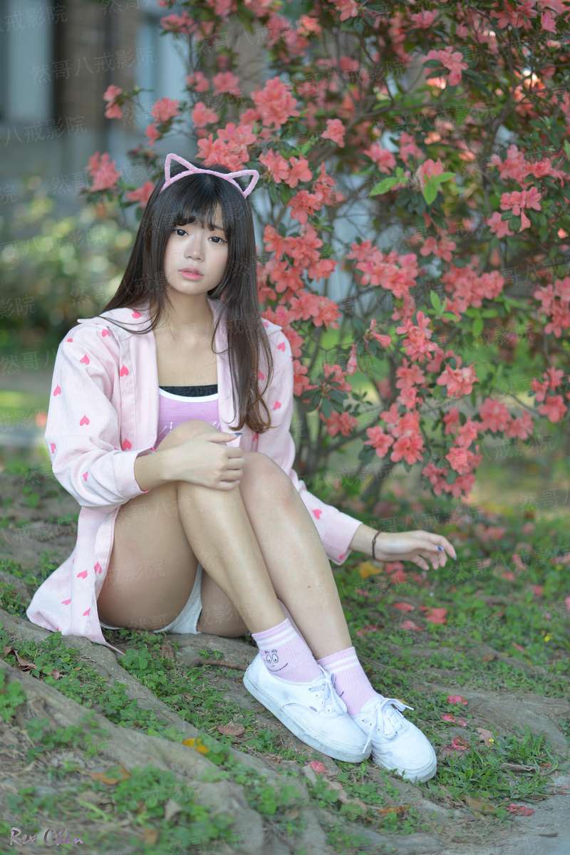 火影凉了