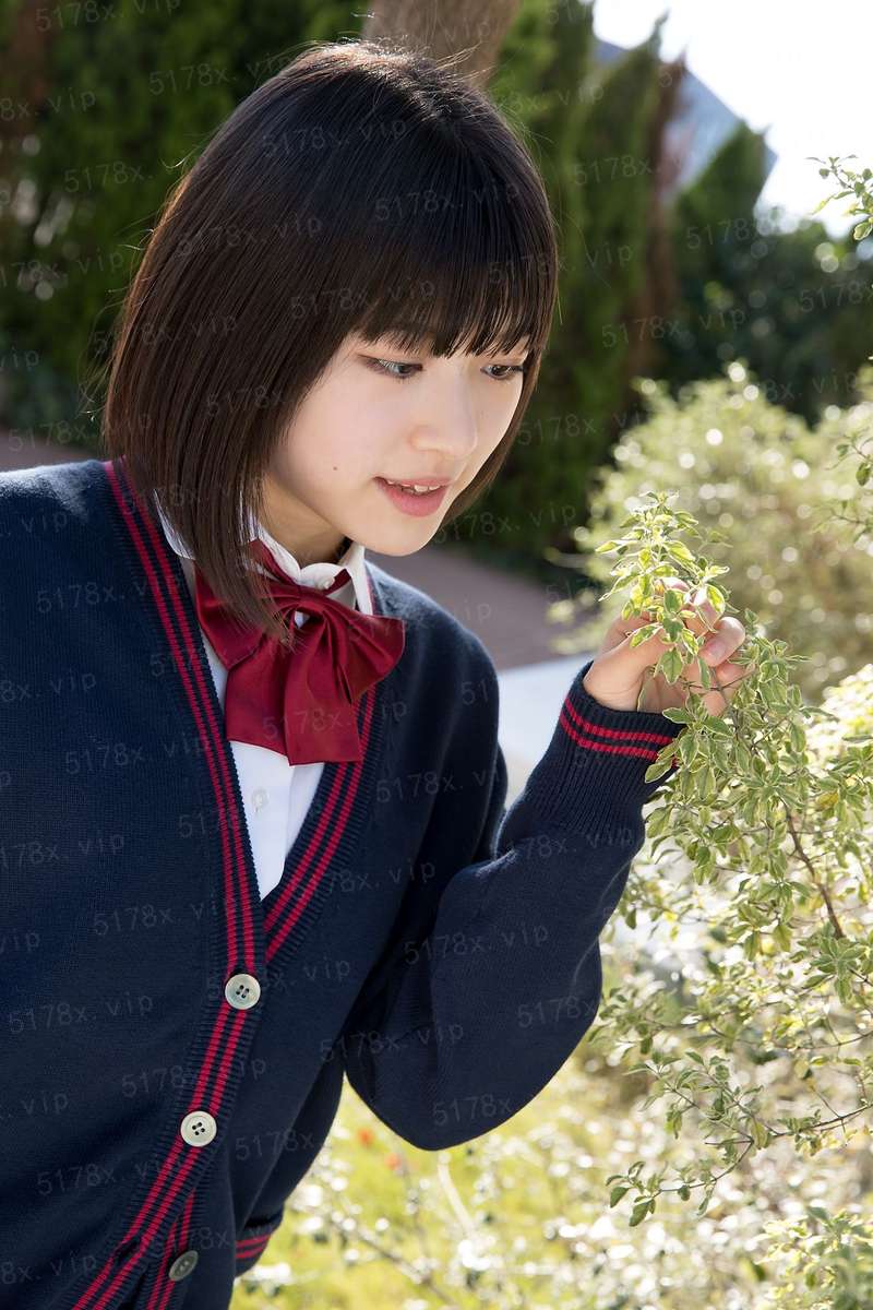 修仙靠舔盒
