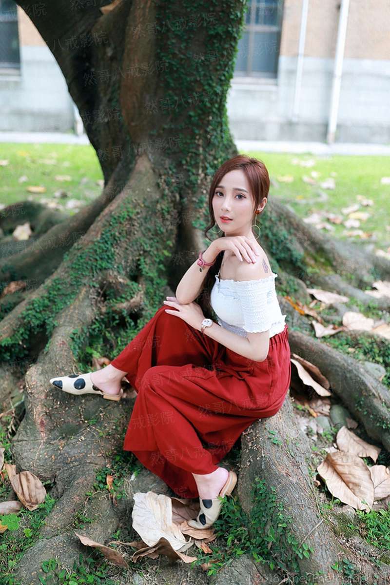 开局四个美相公第二季