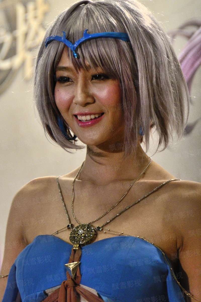 甄子丹 锦衣卫