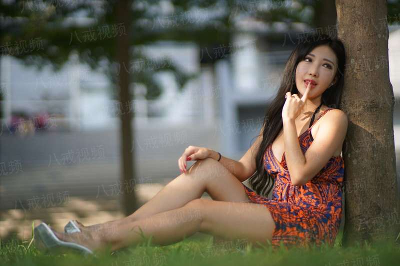 豪门步步惊情：第一少夫人