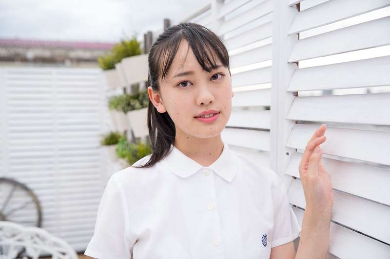 画鸟记