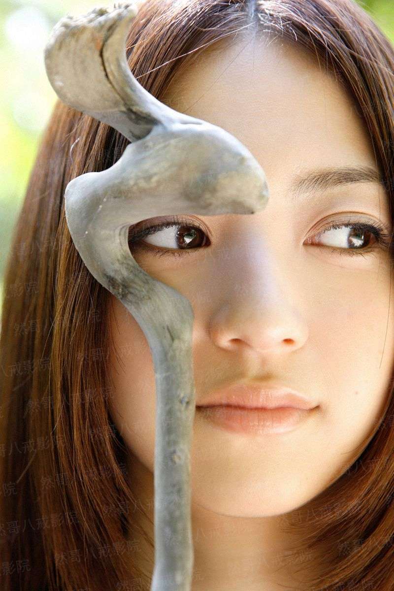 纯情丫头遇上坏坏校草