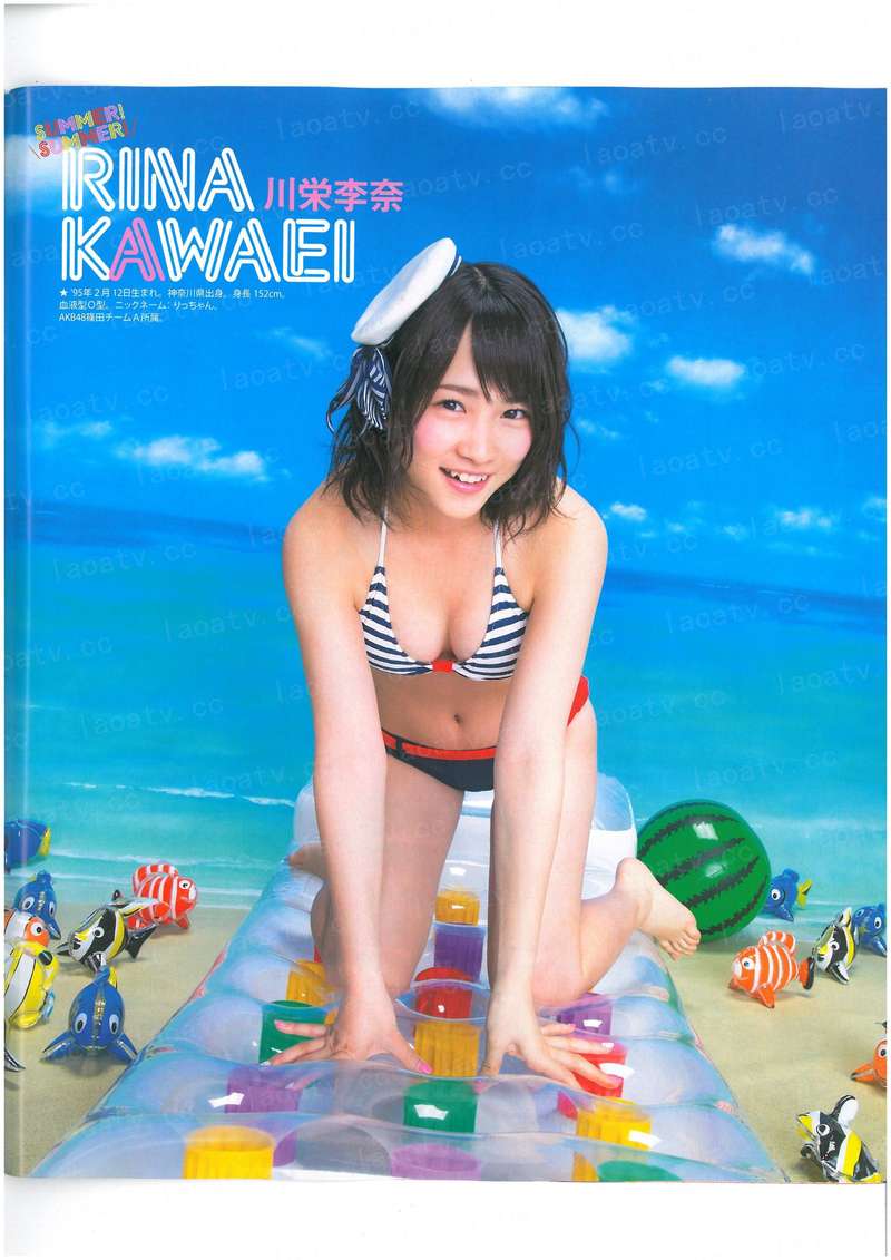 葬剑藏弓