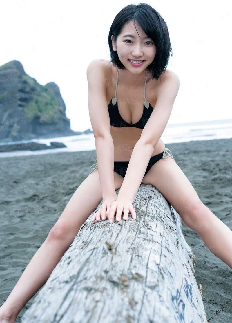 [综]风声鹤唳