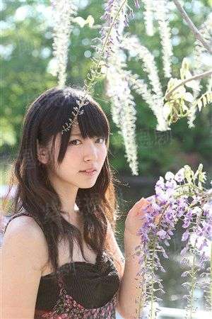抹杀神圣