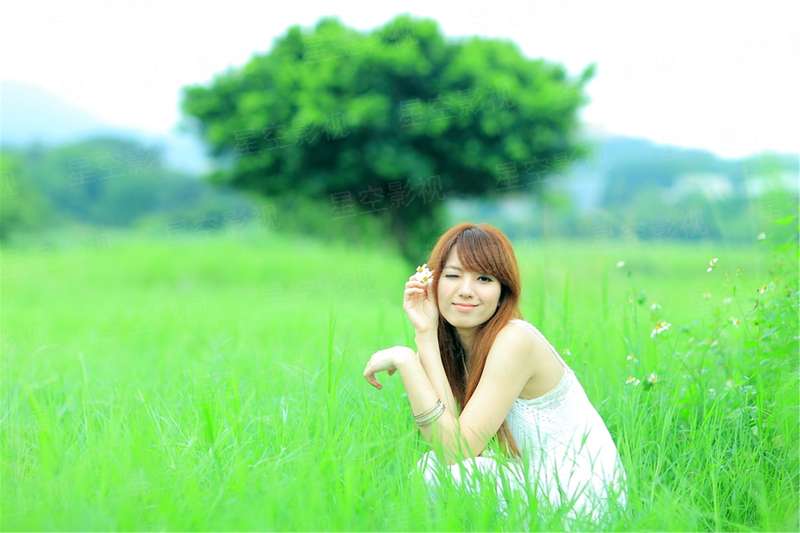 纯情王爷，误惹妖孽七小姐