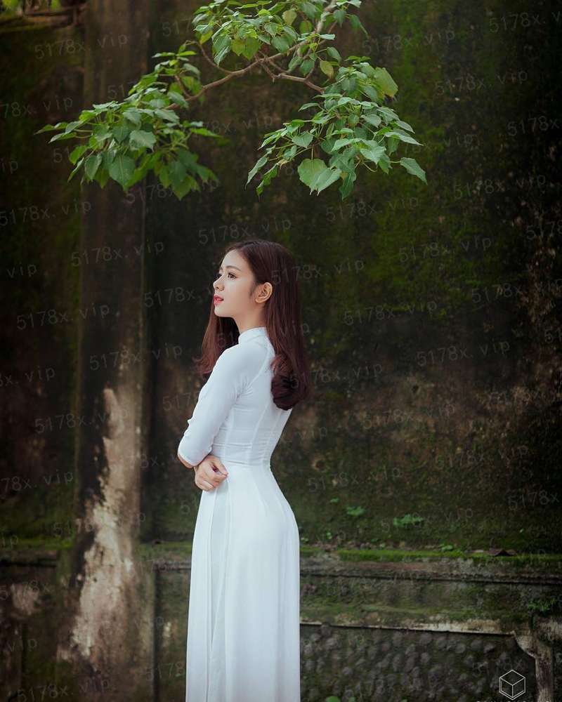 未来圣佛