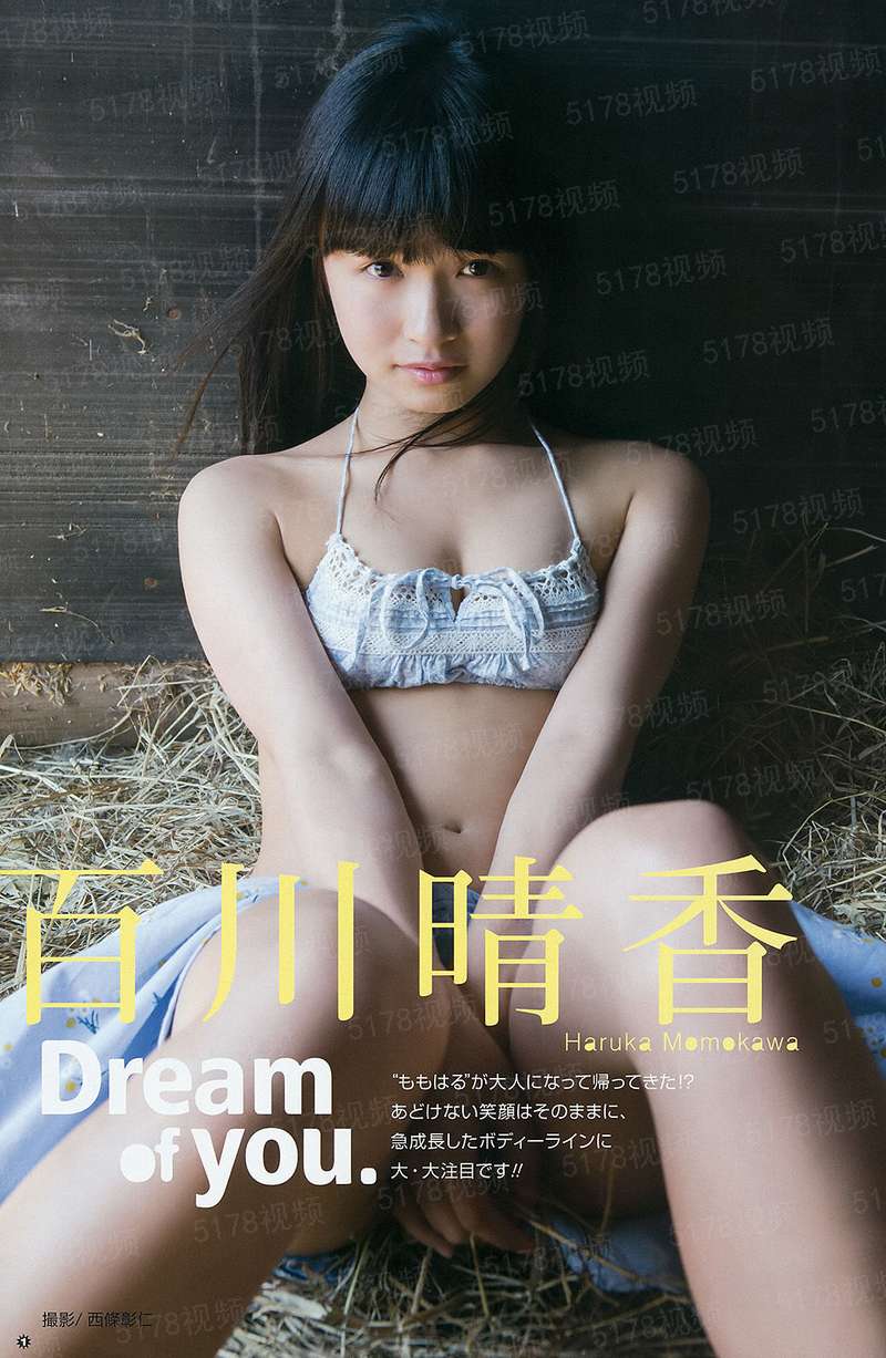 风流官场录
