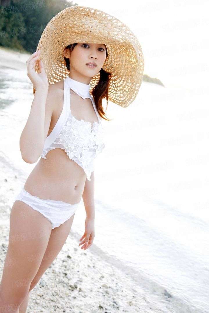 暴狼的海贼生涯