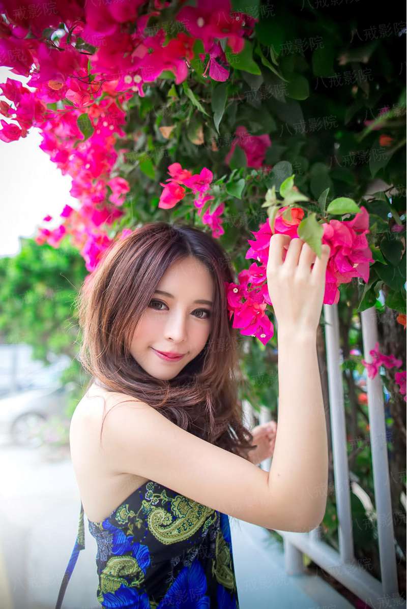 桃花侠大战菊花怪