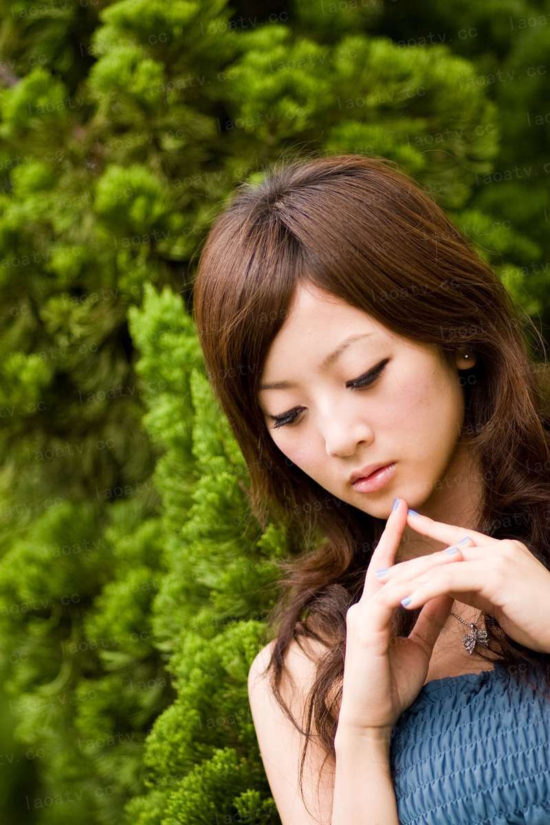 蠢猫通缉令