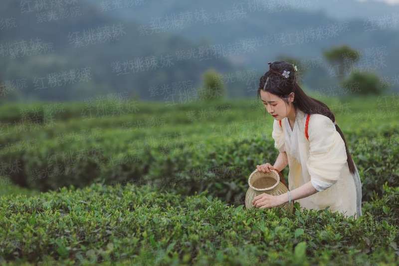 exo之两人的爱