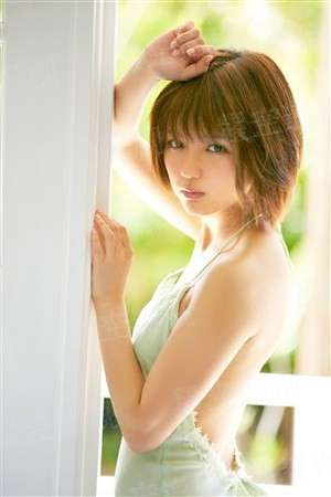 绝世龙婿