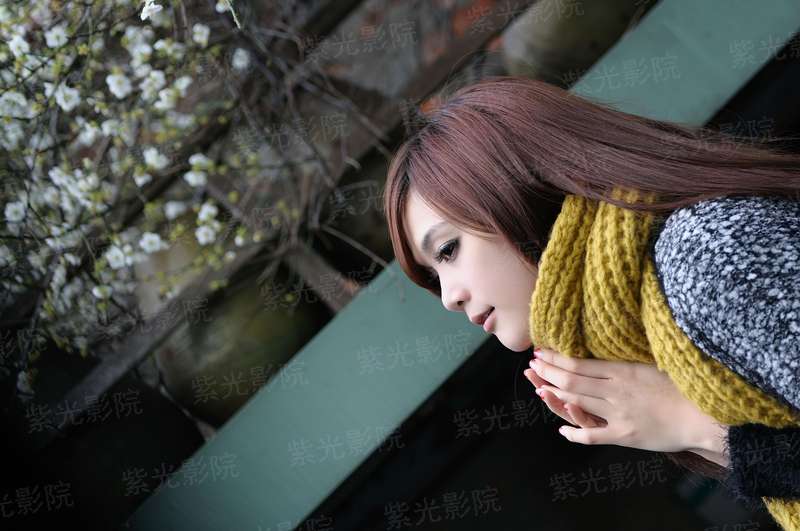 妖孽王爷的毒妃