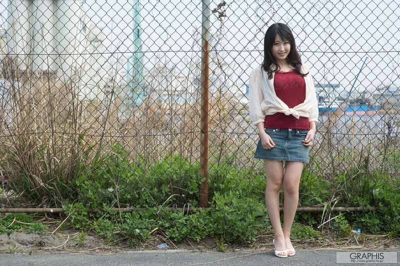 逐梦郁金香