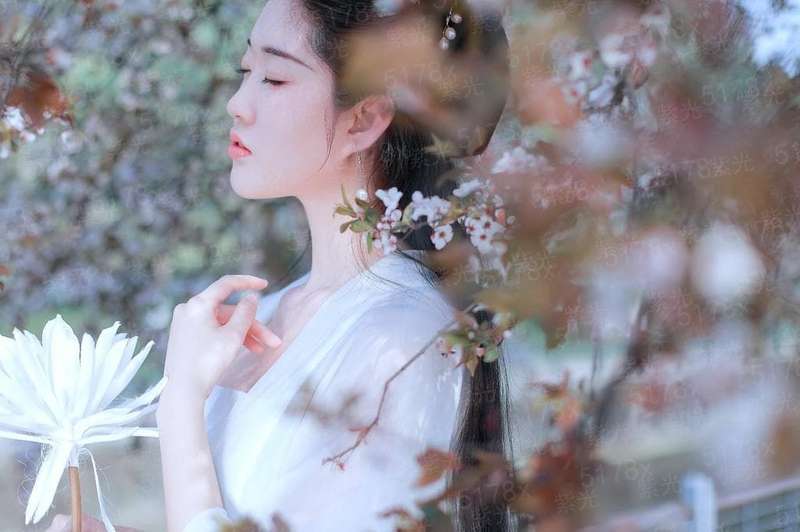 樱花又落下了