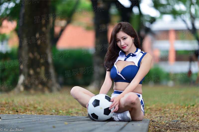 致爱丽丝