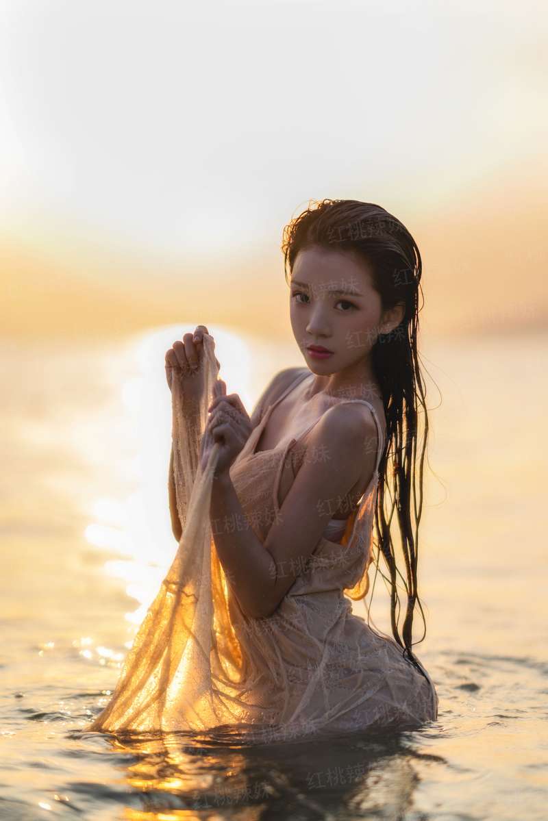西行纪第五季