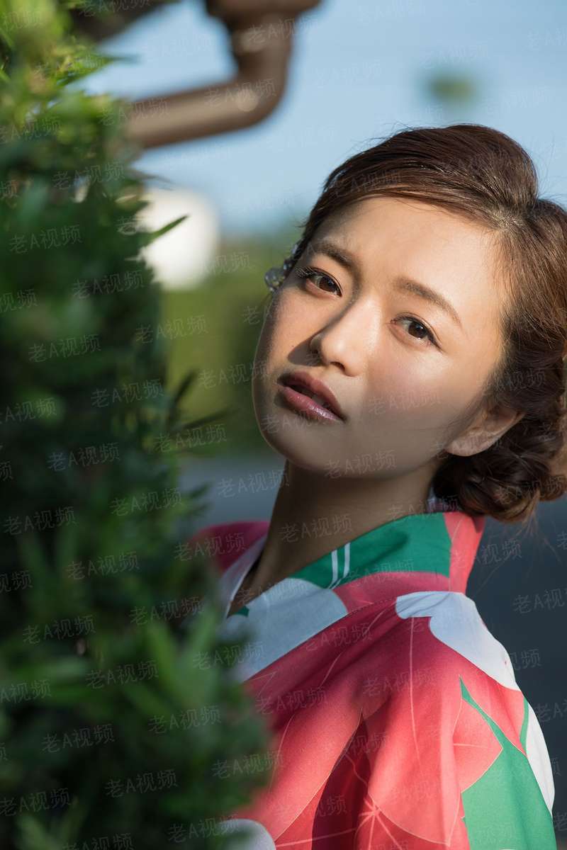 总裁大人凶猛爱