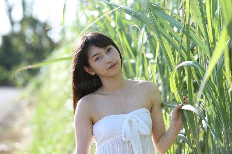 异世界后宫