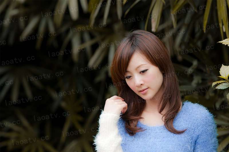 搜索2012