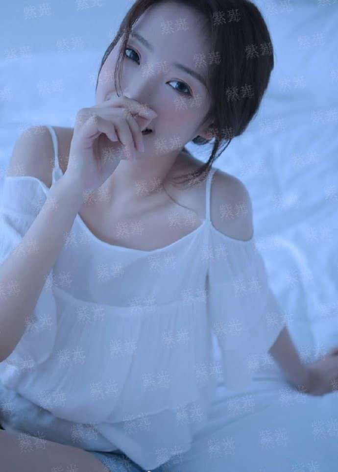 骗局2013
