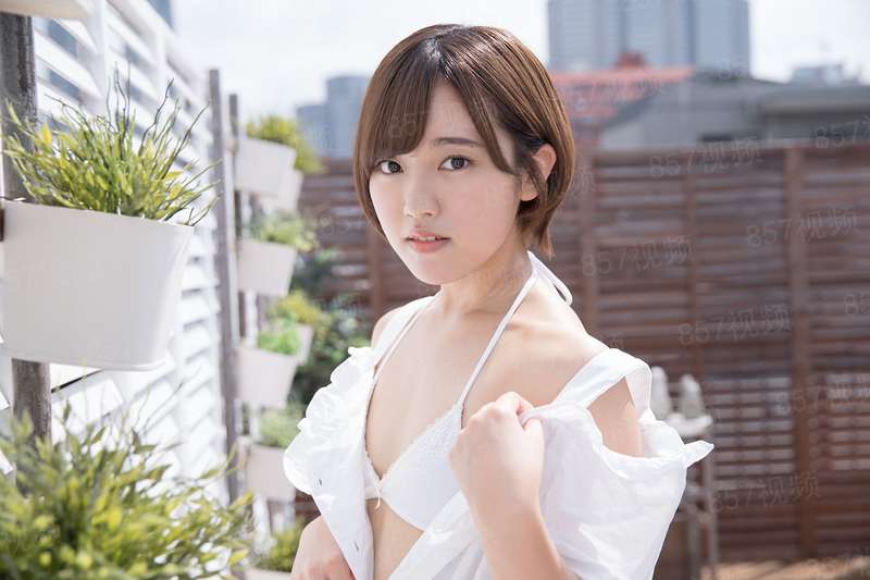 六月似骄阳