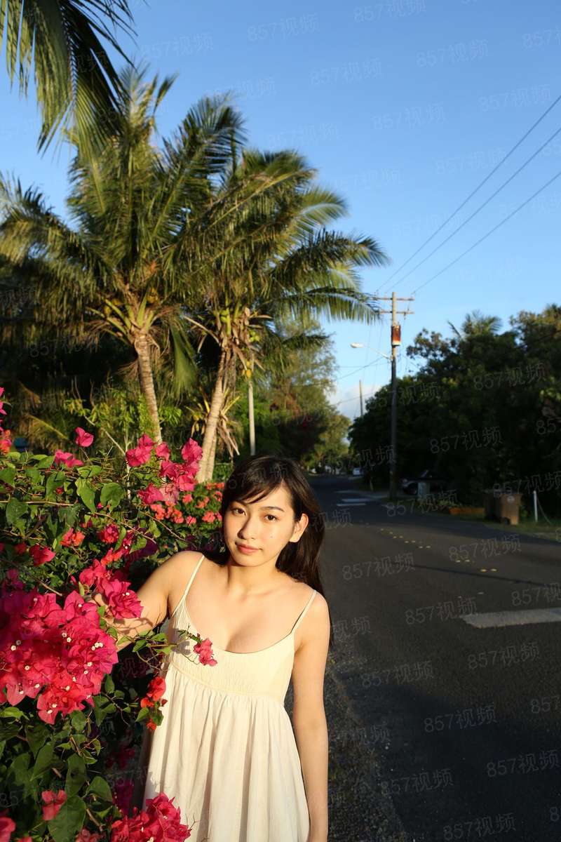 麦夏之门