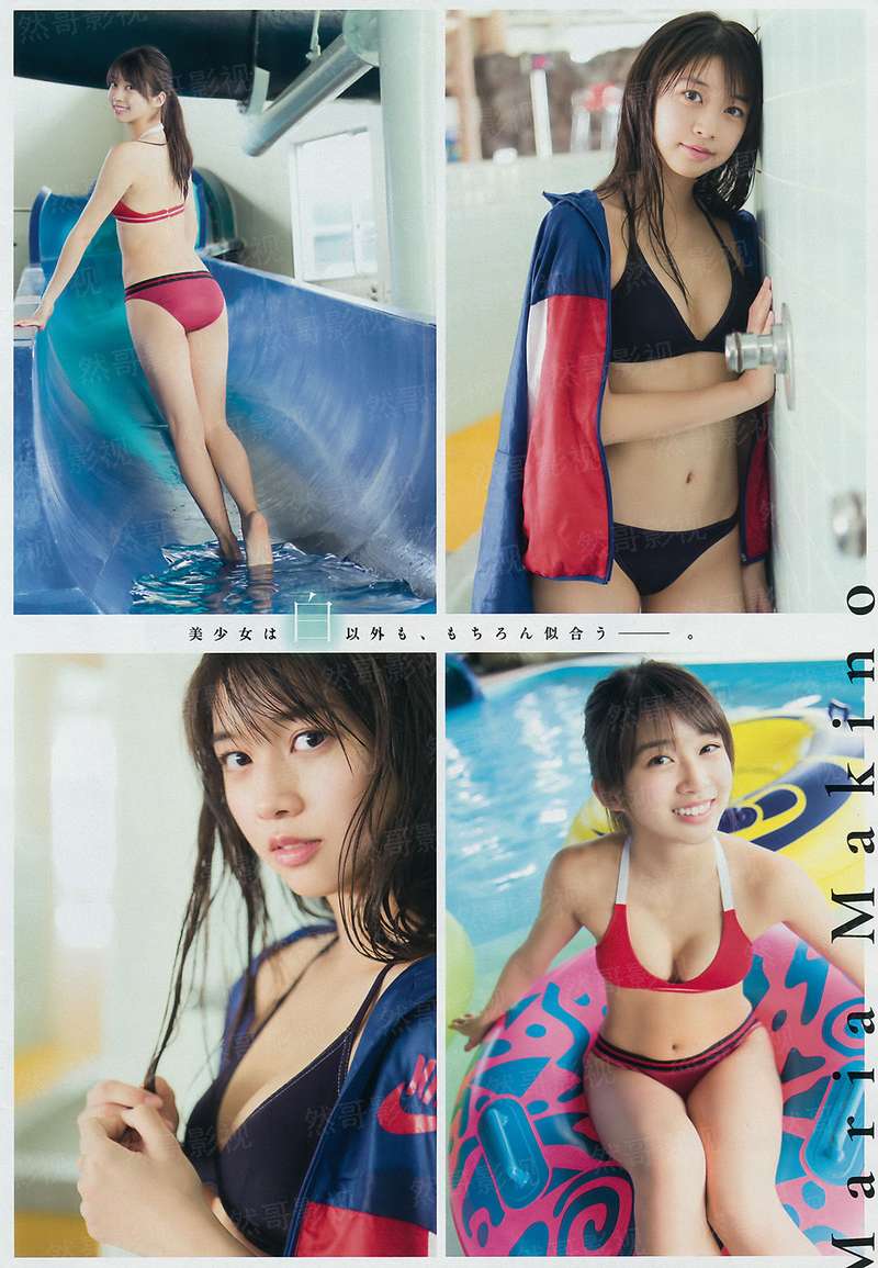 菊花盛开