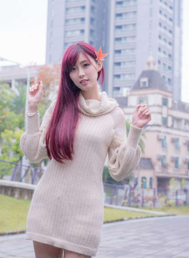 花与青鸟与歌