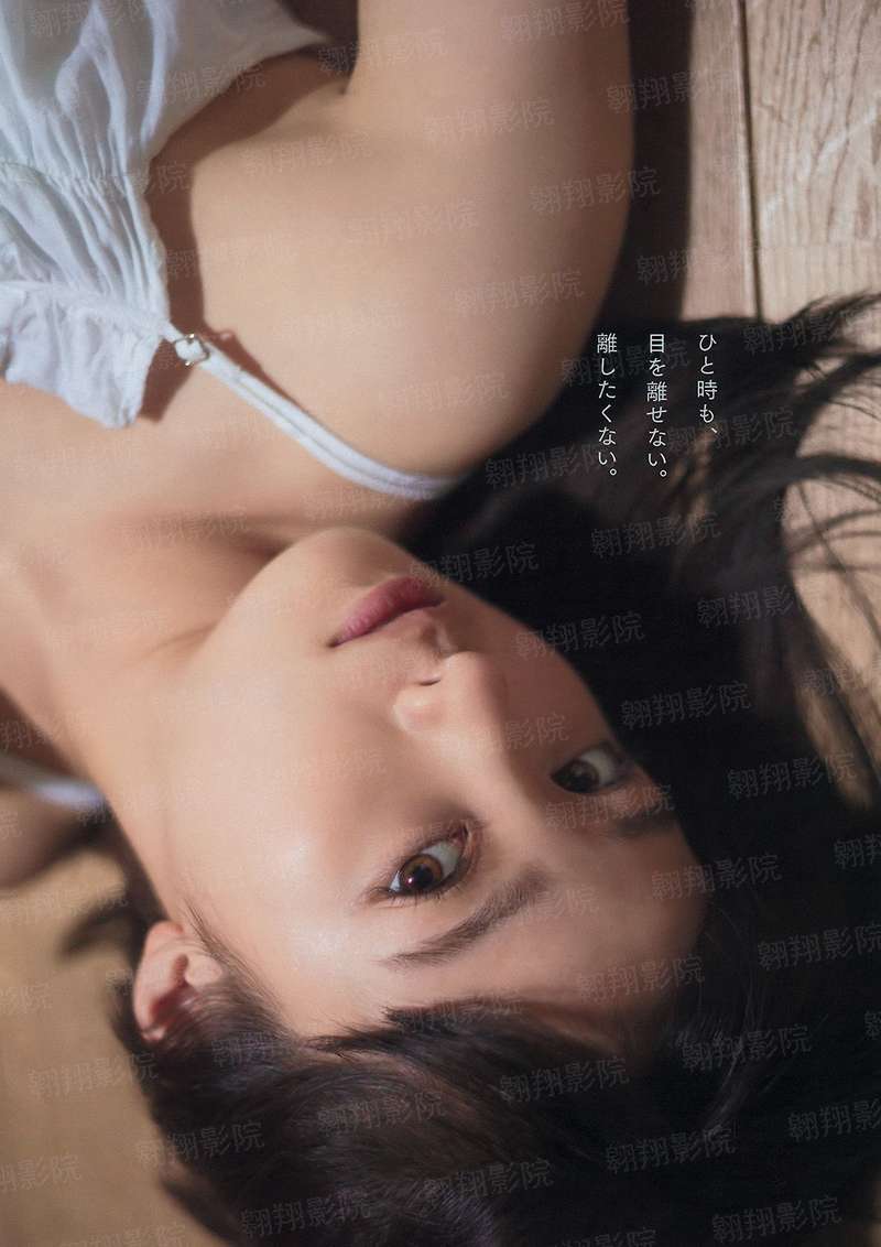 丰山犬