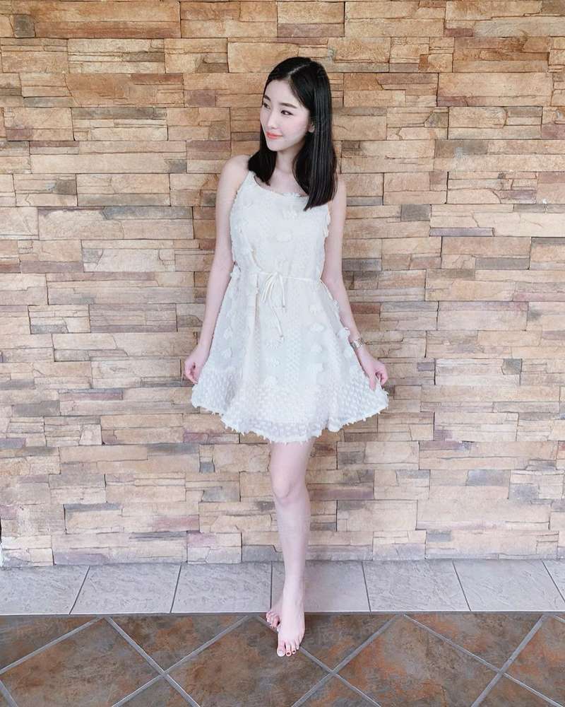 墨菲闹圣诞