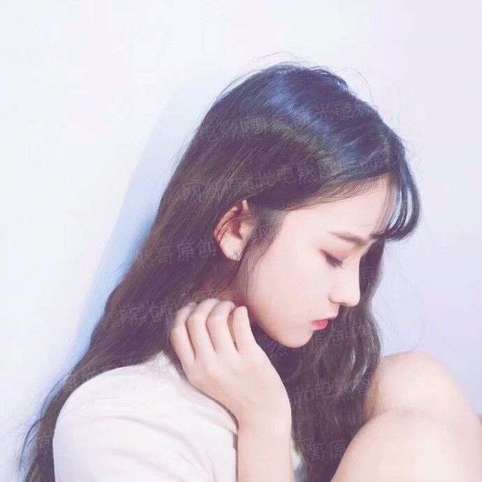 寻欢宝鉴